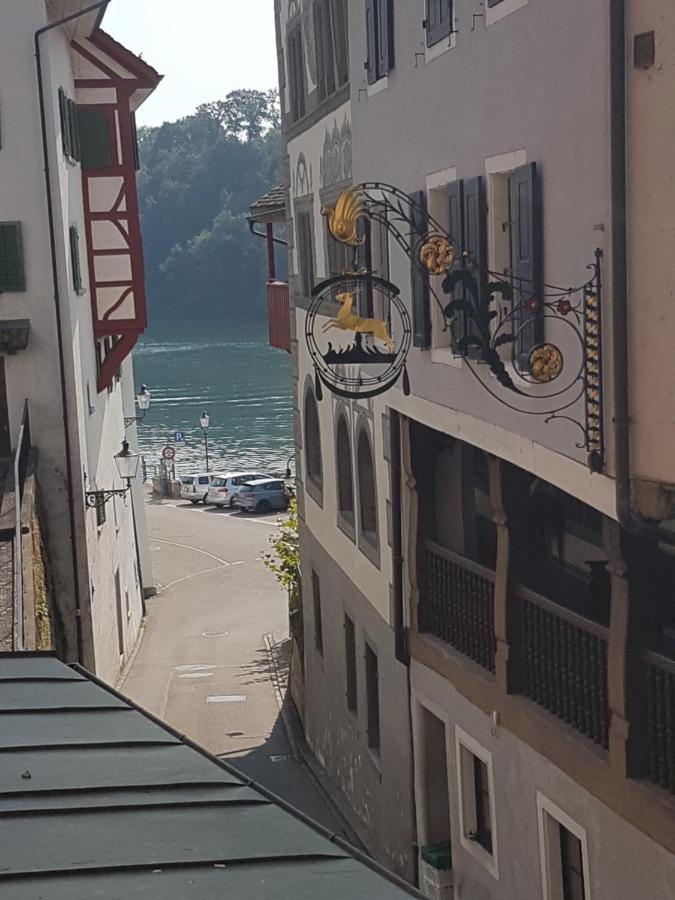 Rhii B&B Eglisau Bagian luar foto